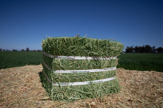 EVENT SPECIAL - Compressed Premium Lucerne Hay
