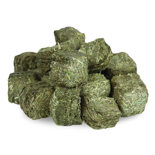EVENT SPECIAL - Lucerne & Oaten Hay Cubes - 20kg Bag